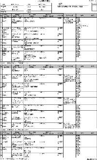 表1：JUS D.I.で作成される持参薬管理表